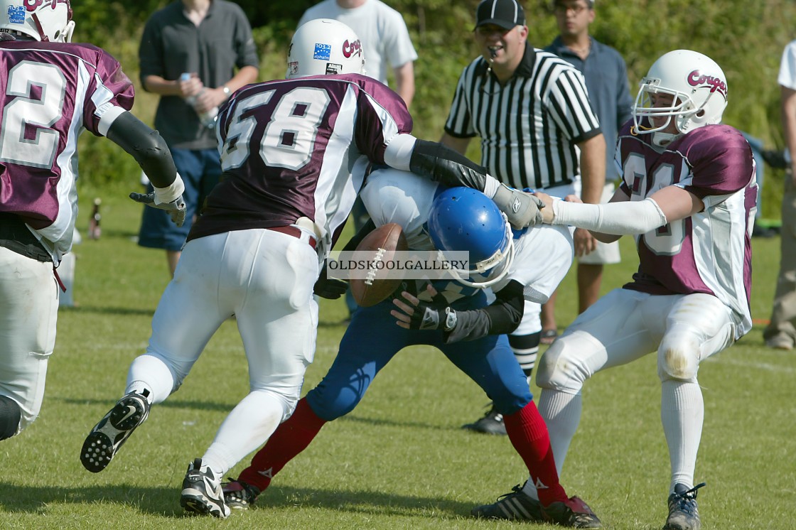 "East Midlands Saxons (2003)" stock image