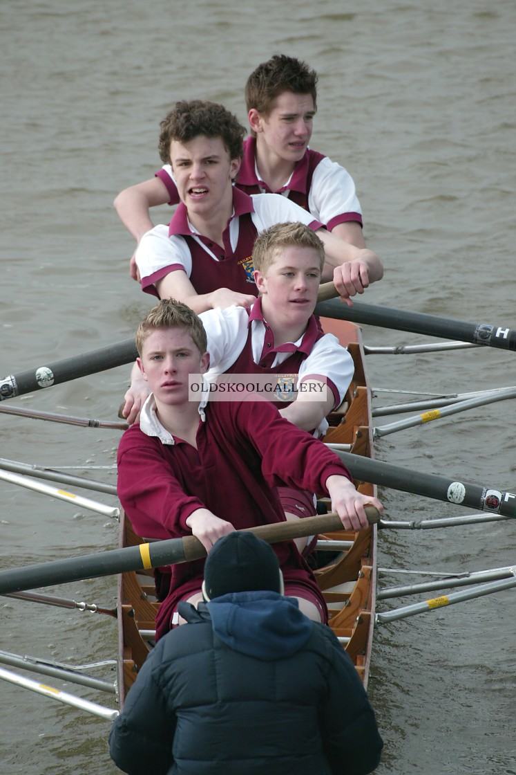 "Head of the Nene (2004)" stock image