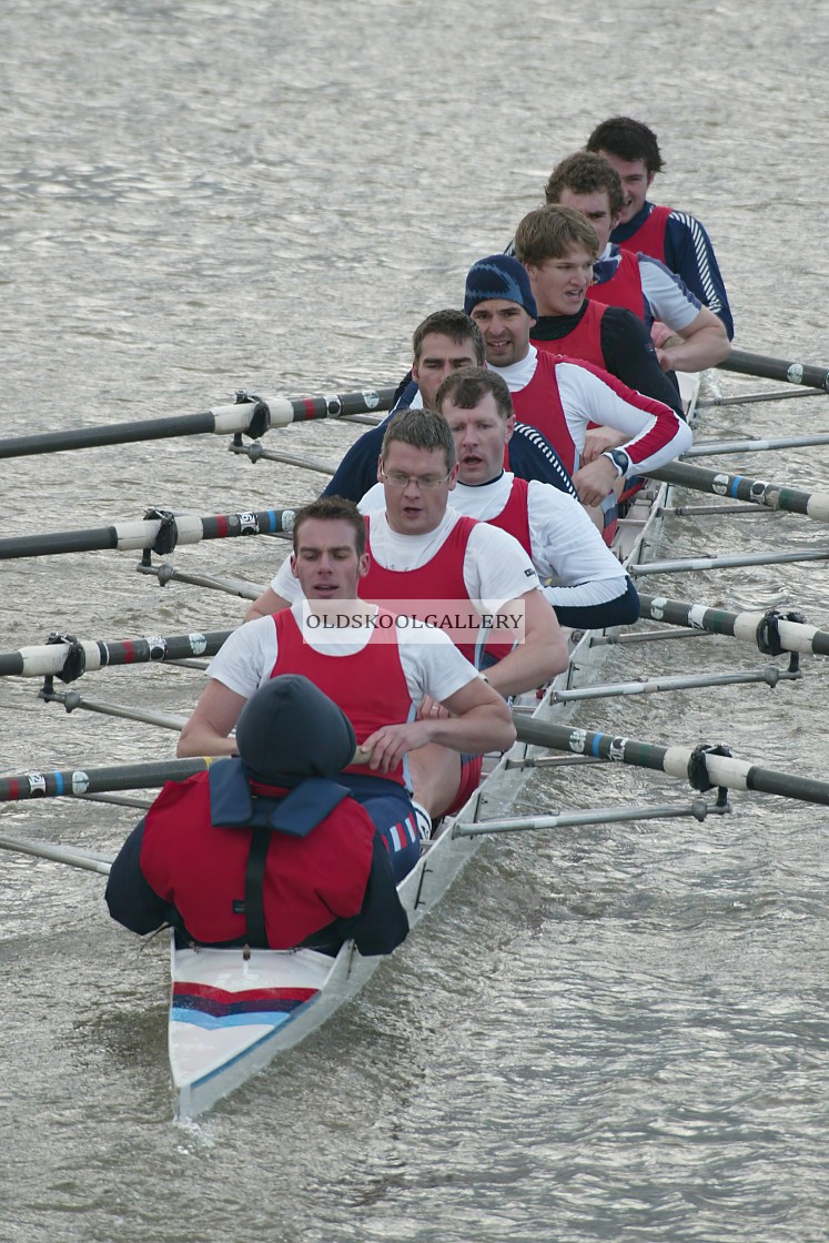 "Head of the Nene (2004)" stock image