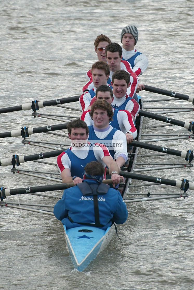 "Head of the Nene (2004)" stock image