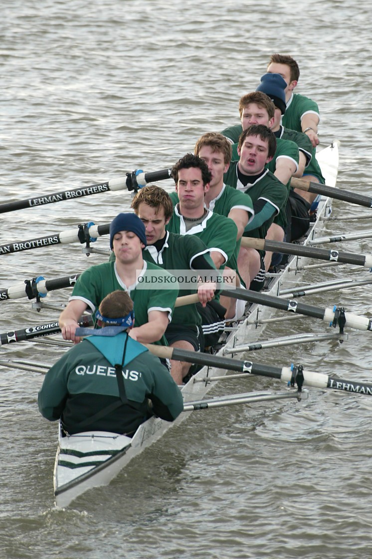 "Head of the Nene (2004)" stock image