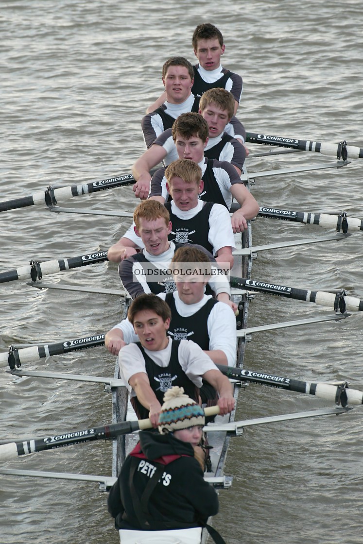 "Head of the Nene (2004)" stock image