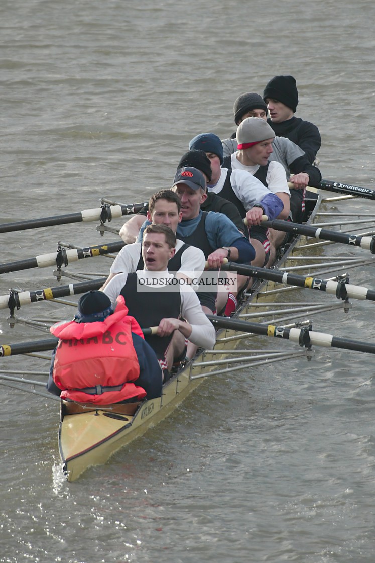 "Head of the Nene (2004)" stock image