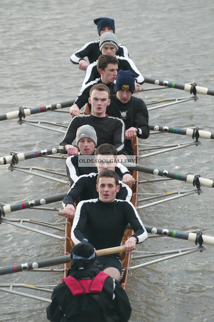 "Head of the Nene (2004)" stock image