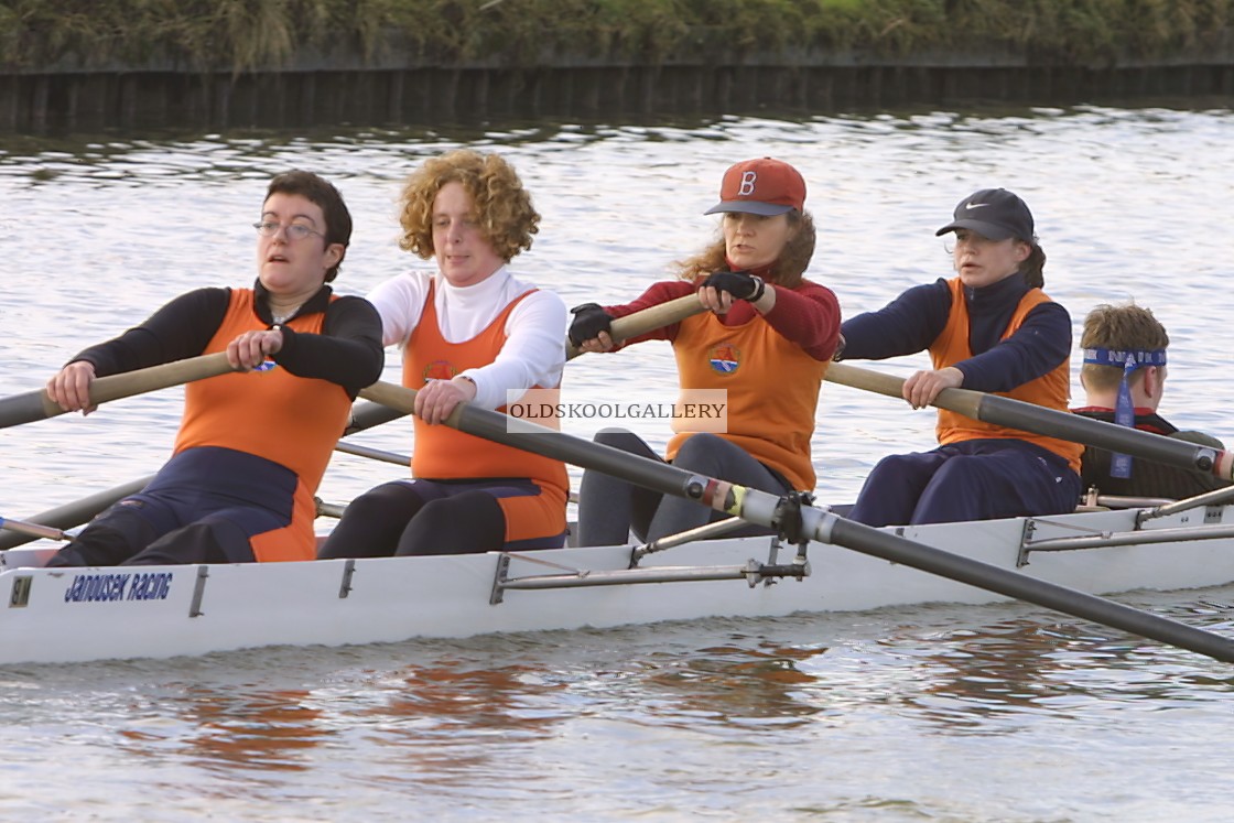 "Head of the Nene (2003)" stock image