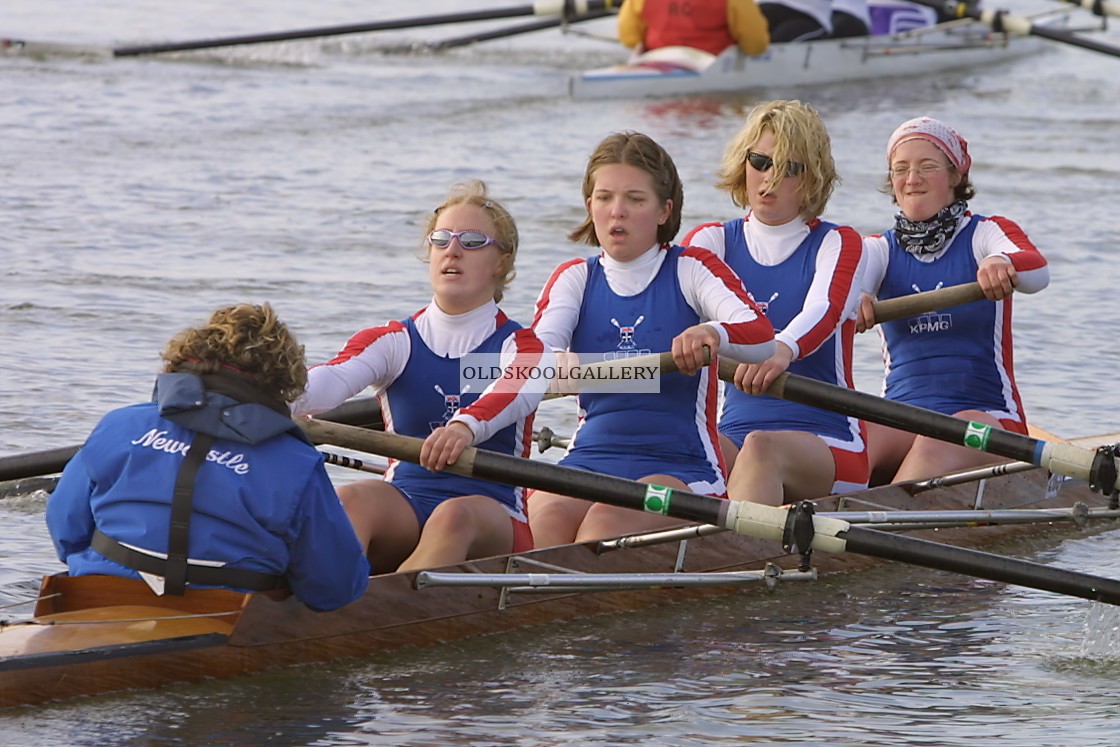 "Head of the Nene (2003)" stock image