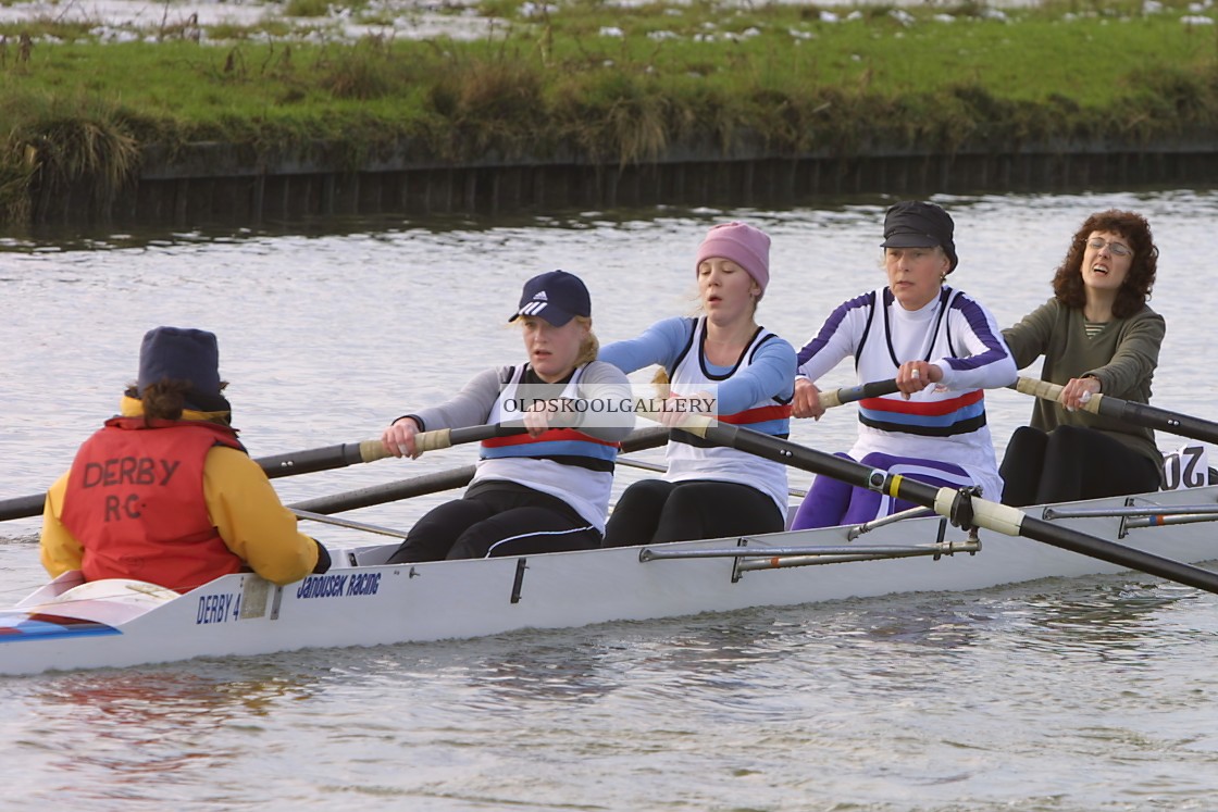 "Head of the Nene (2003)" stock image