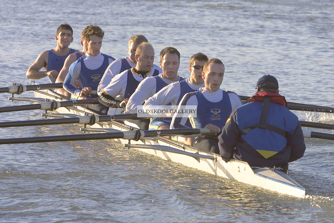 "Head of the Nene (2003)" stock image