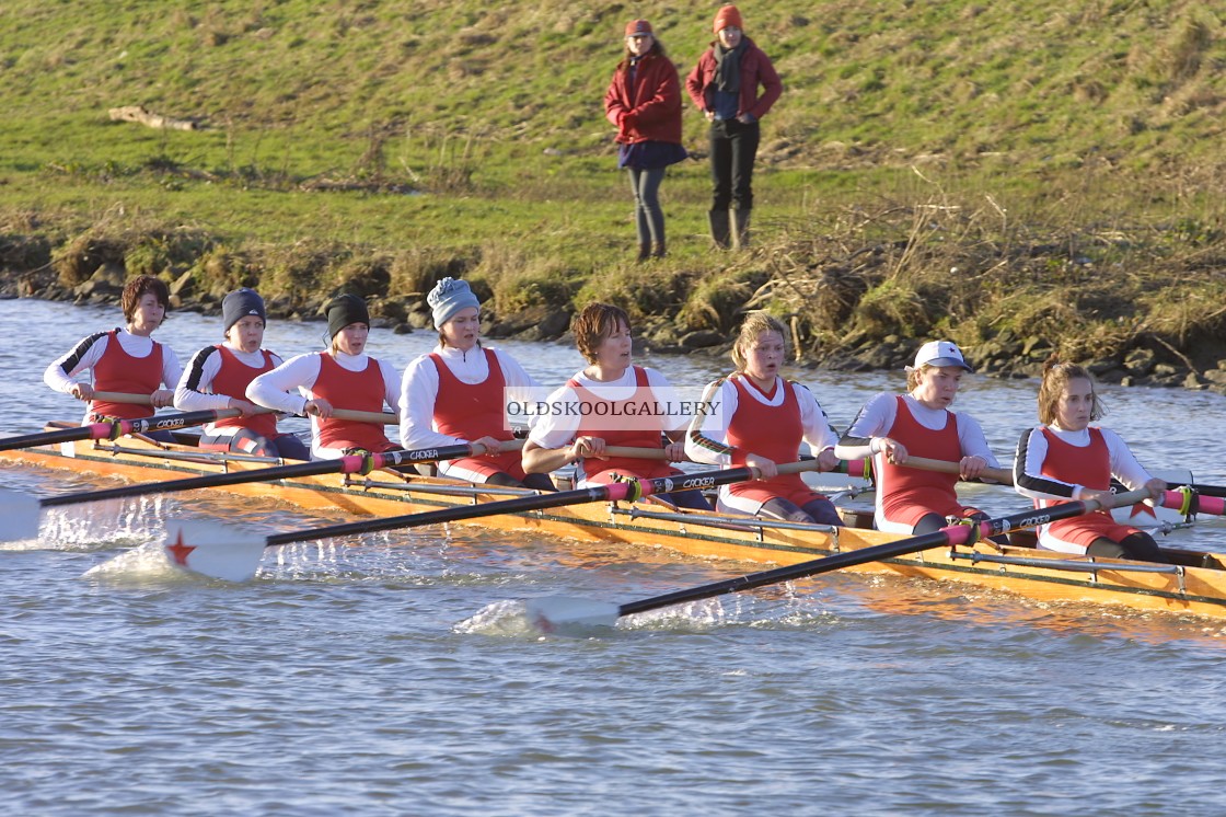 "Head of the Nene (2003)" stock image