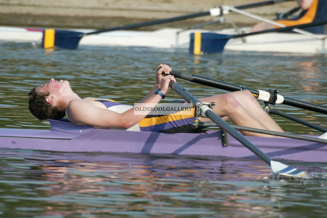 "August Regatta (2003)" stock image