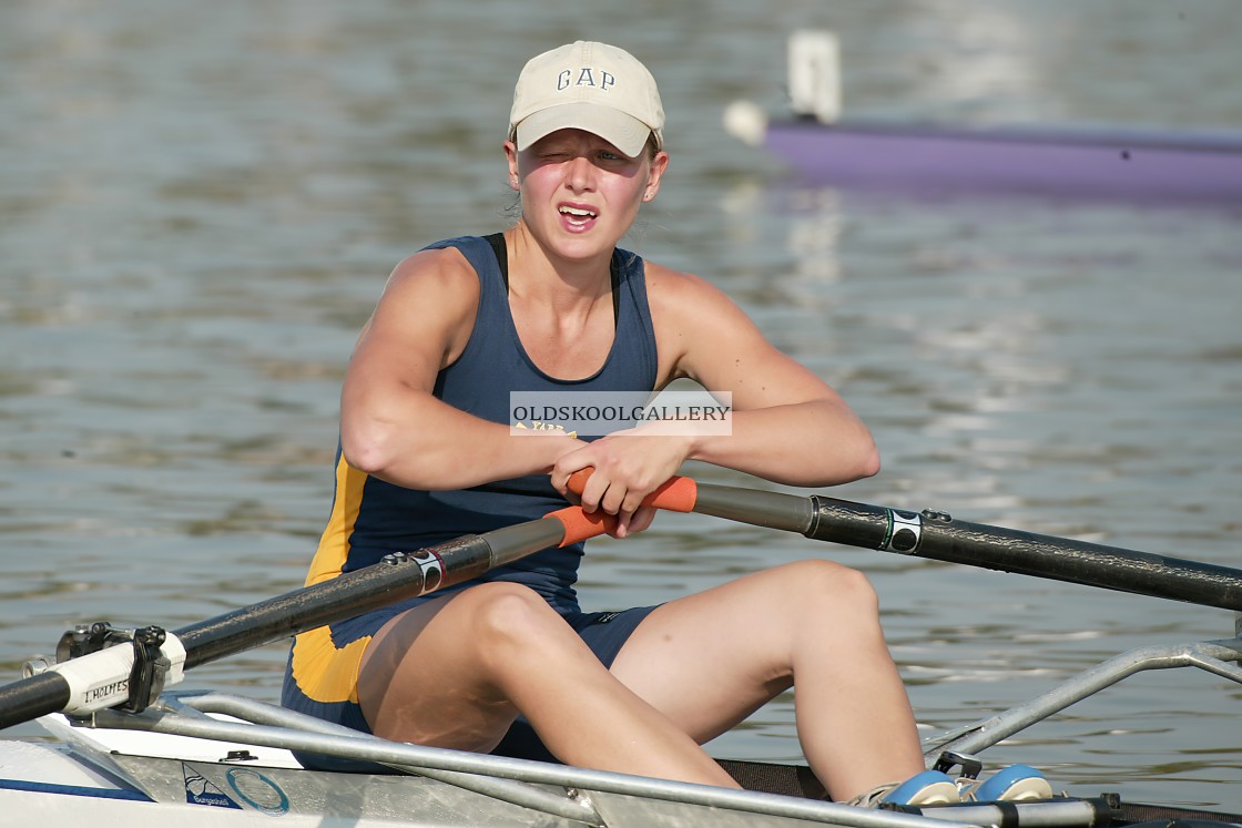 "August Regatta (2003)" stock image