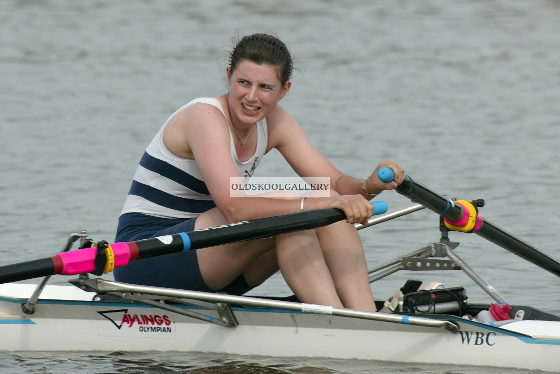 "Spring Regatta (2004)" stock image