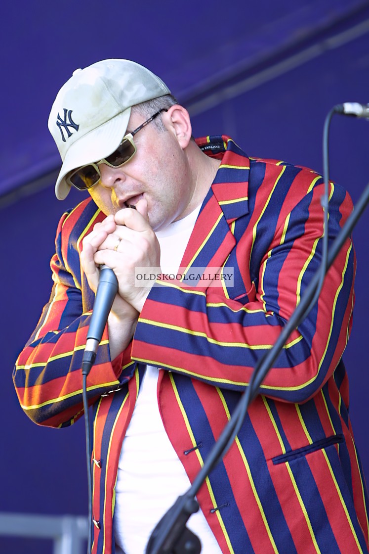 "Willow Festival (2002)" stock image