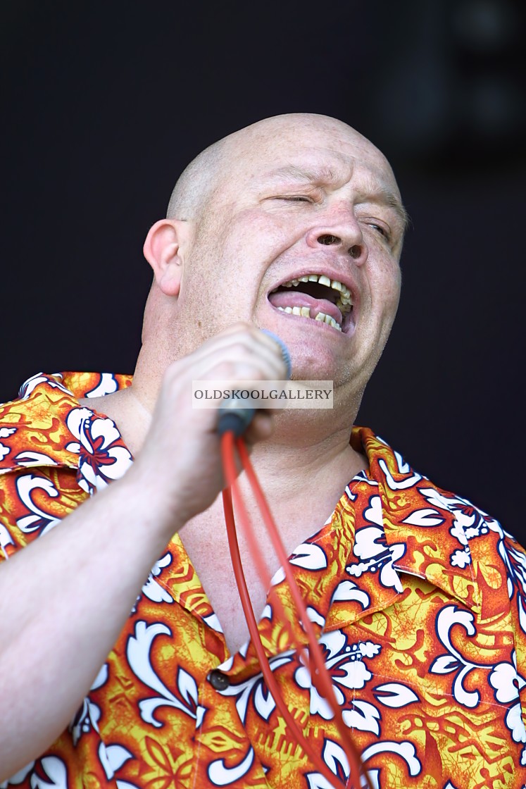 "Willow Festival (2002)" stock image