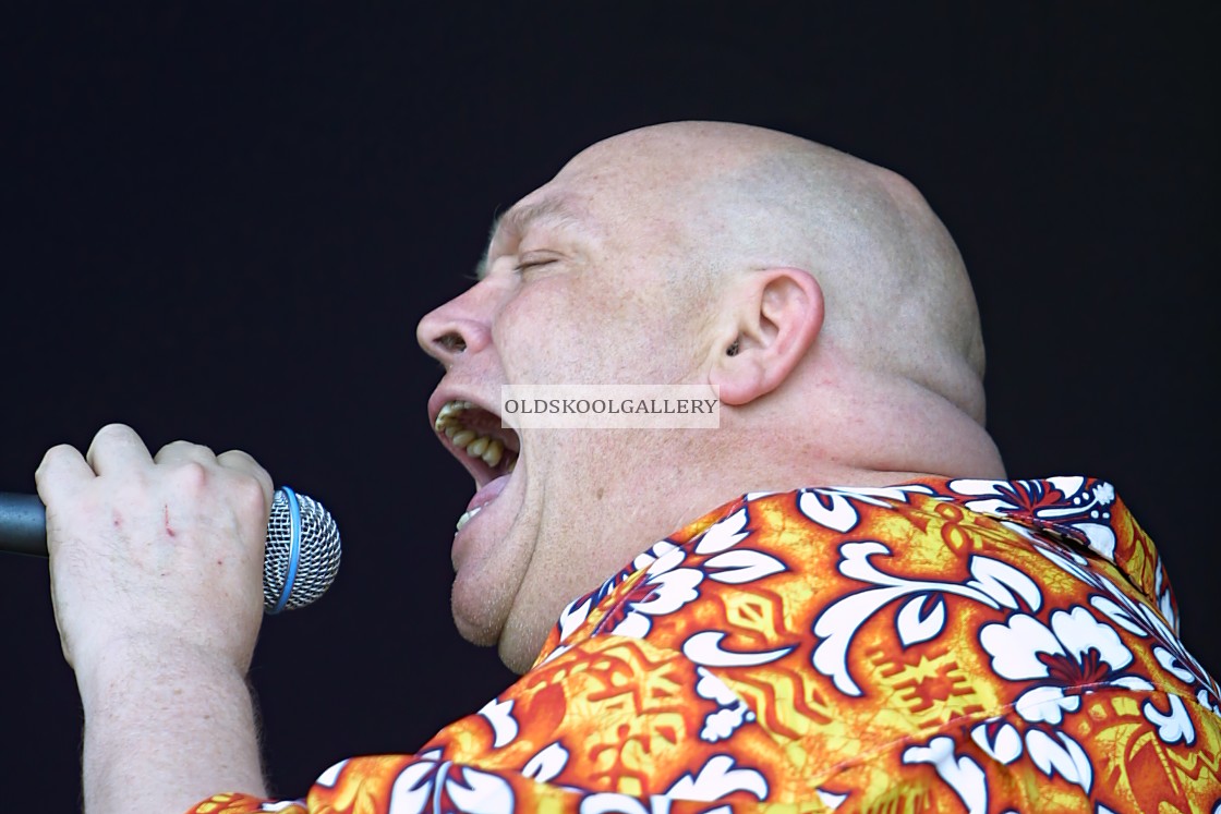 "Willow Festival (2002)" stock image