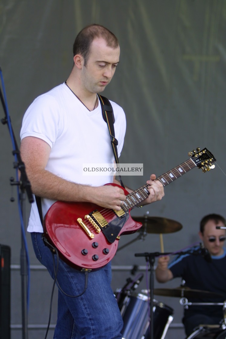 "Willow Festival (2002)" stock image