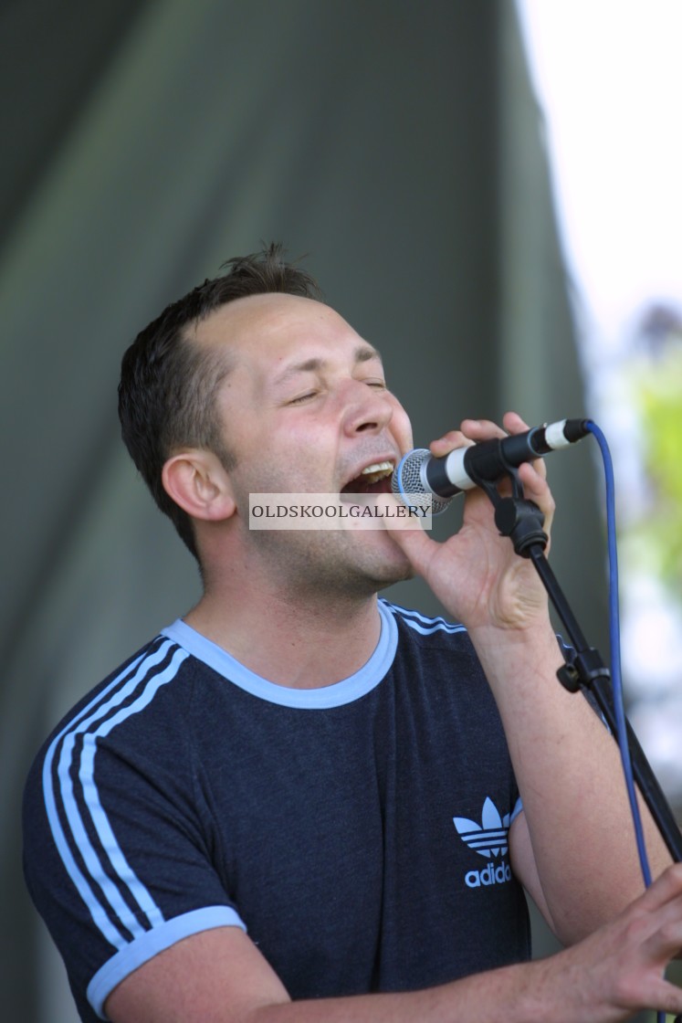 "Willow Festival (2002)" stock image