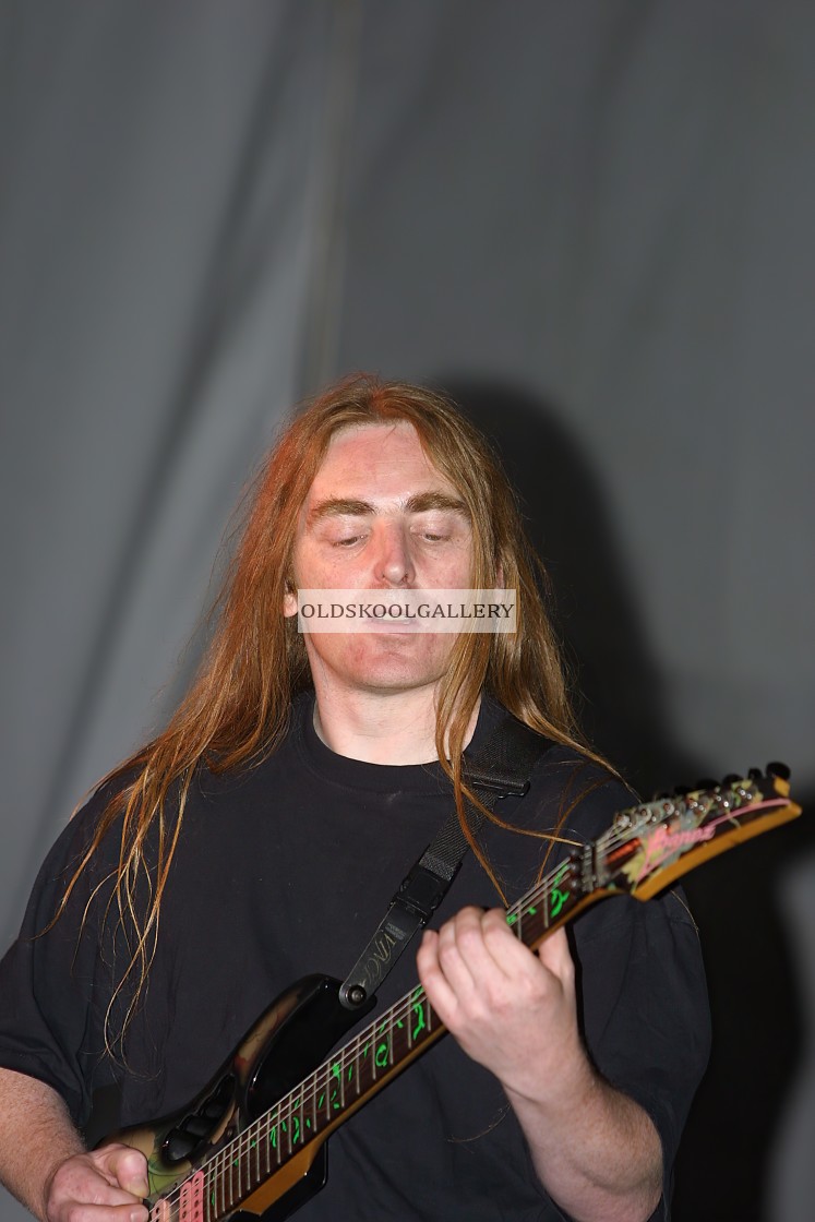 "Willow Festival (2002)" stock image