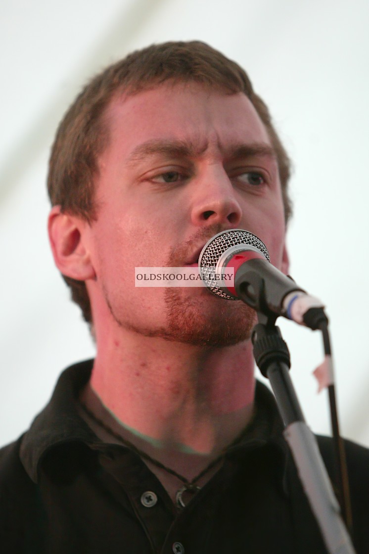 "Willow Festival (2003)" stock image