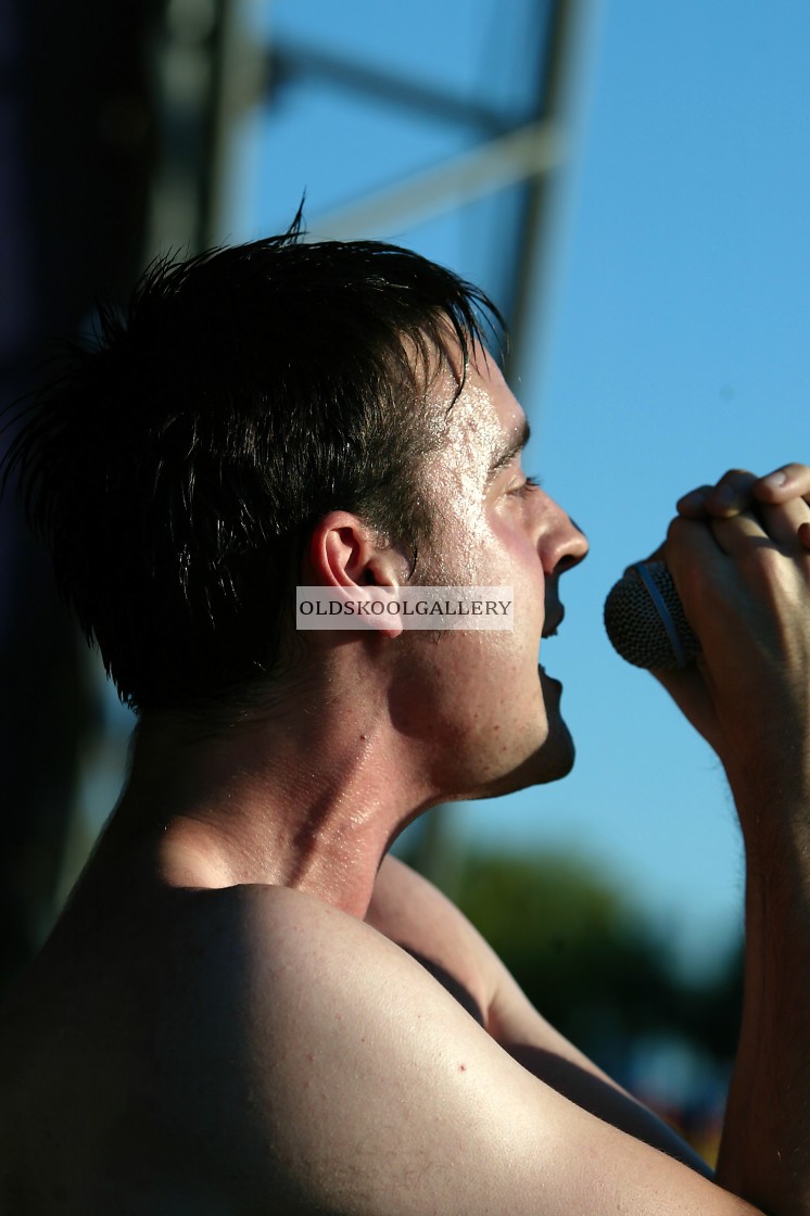 "Willow Festival (2003)" stock image