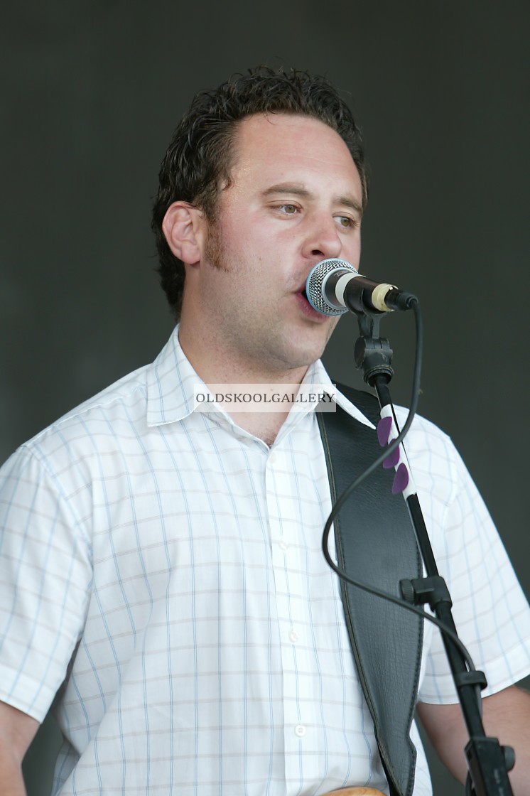 "Willow Festival (2003)" stock image