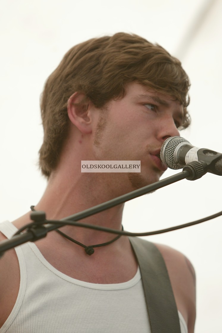 "Willow Festival (2003)" stock image