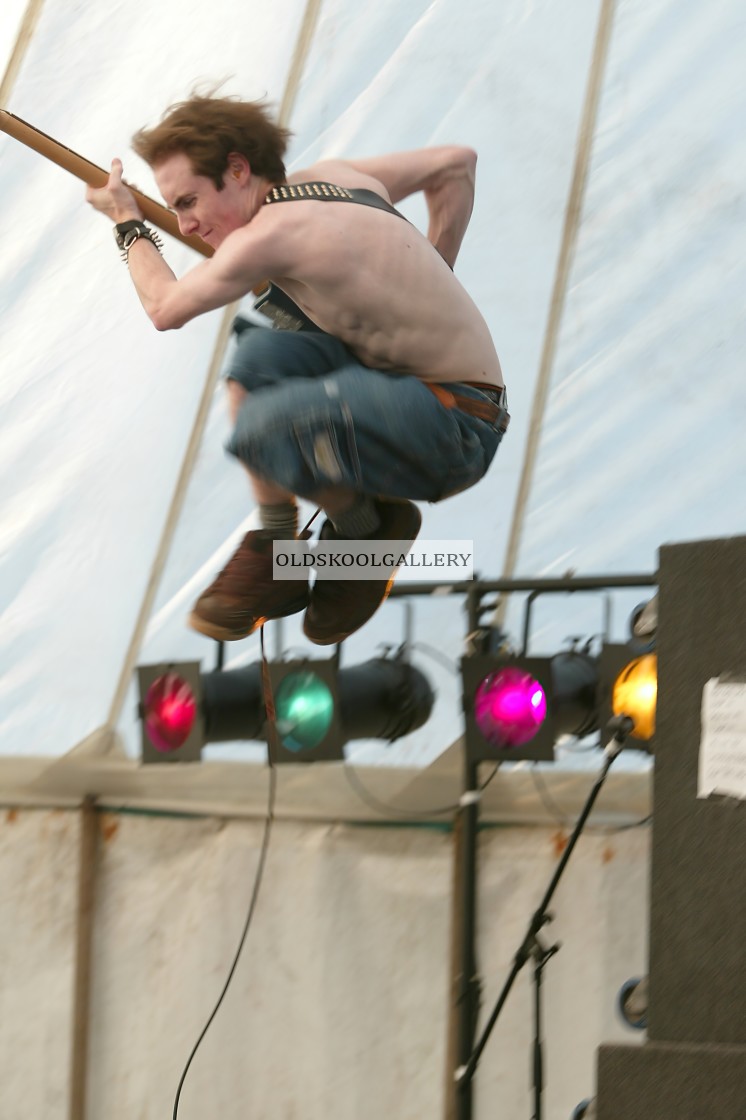 "Willow Festival (2003)" stock image