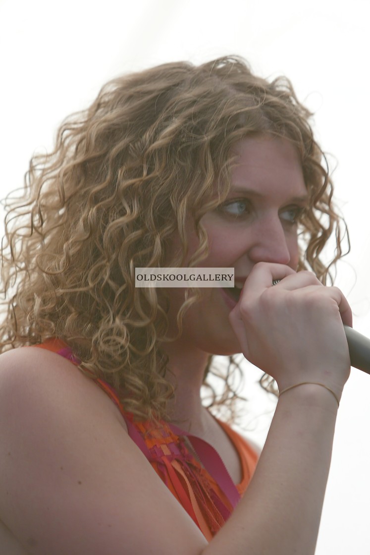 "Willow Festival (2003)" stock image