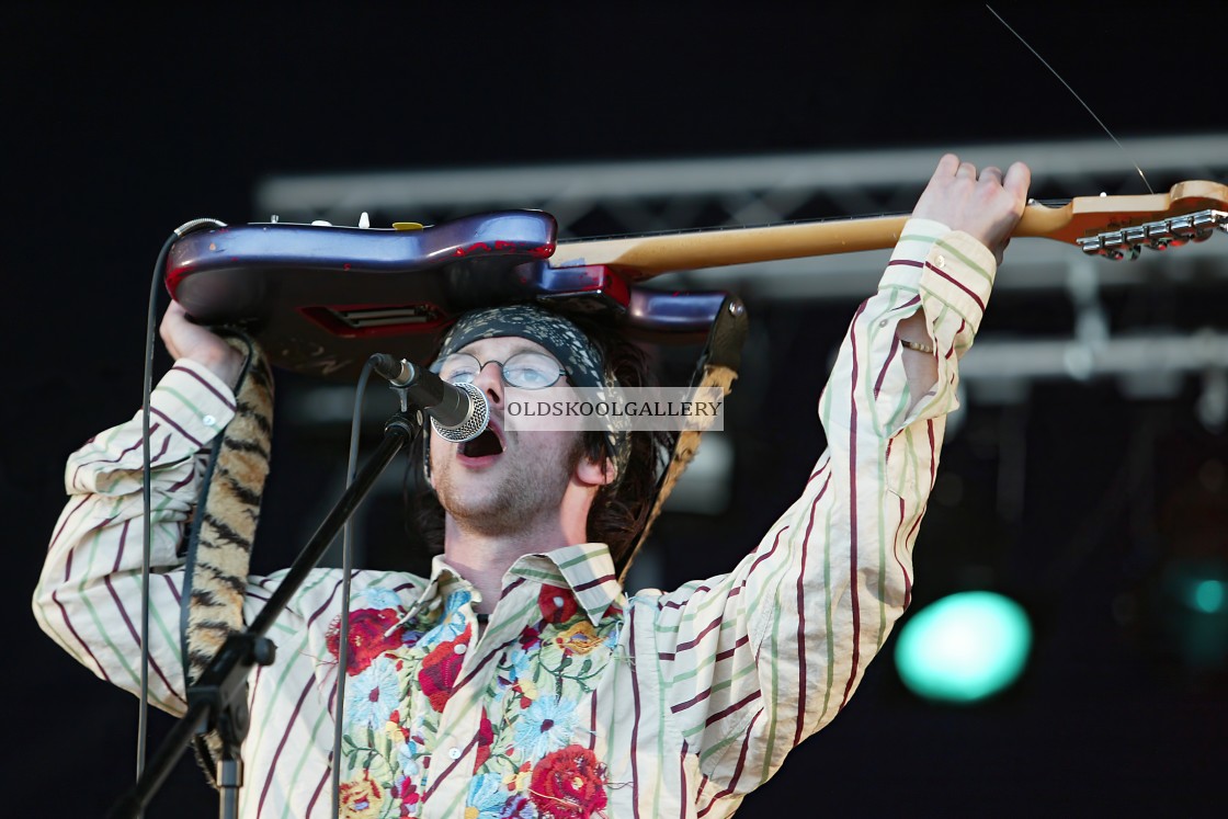 "Willow Festival (2003)" stock image