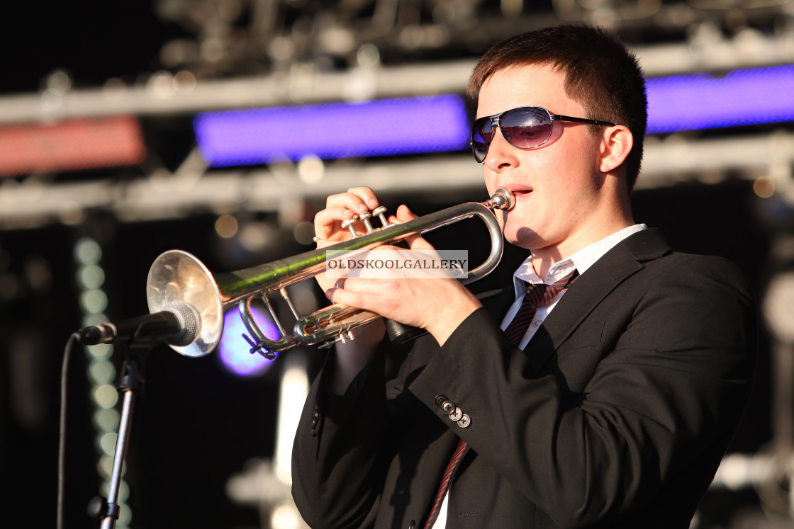 "Willow Festival (2012)" stock image