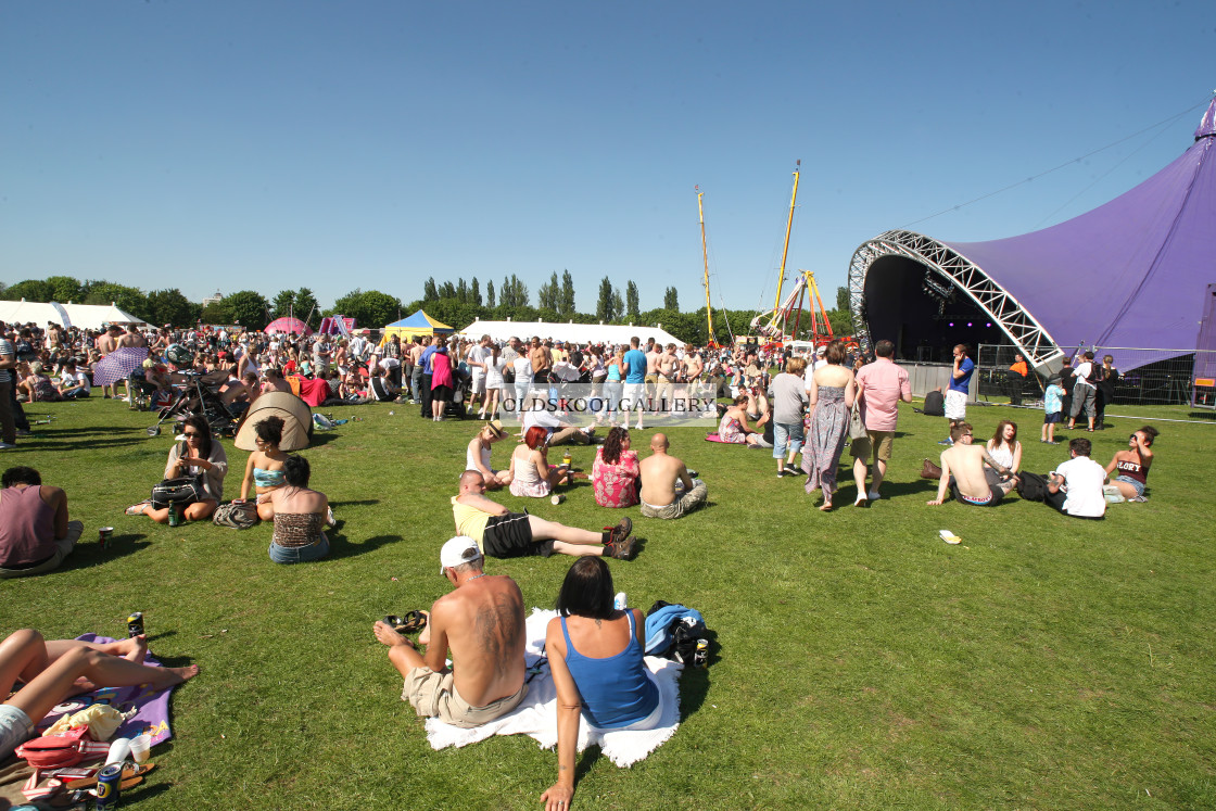 "Willow Festival (2012)" stock image