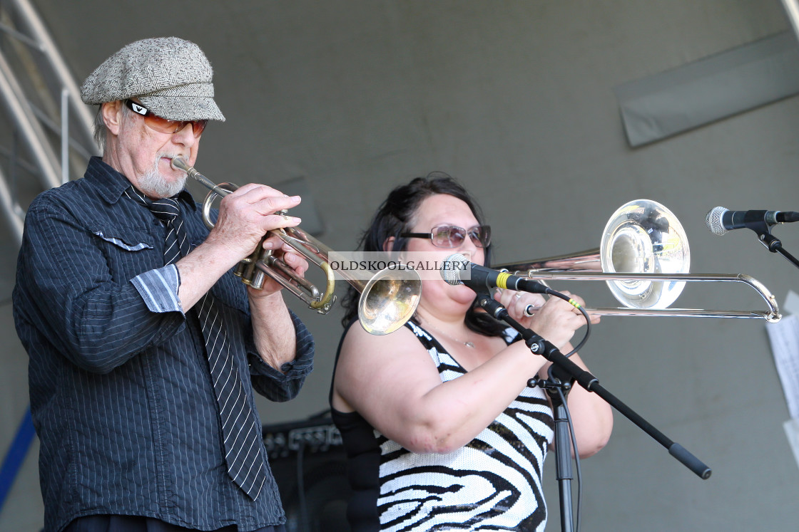 "Willow Festival (2012)" stock image