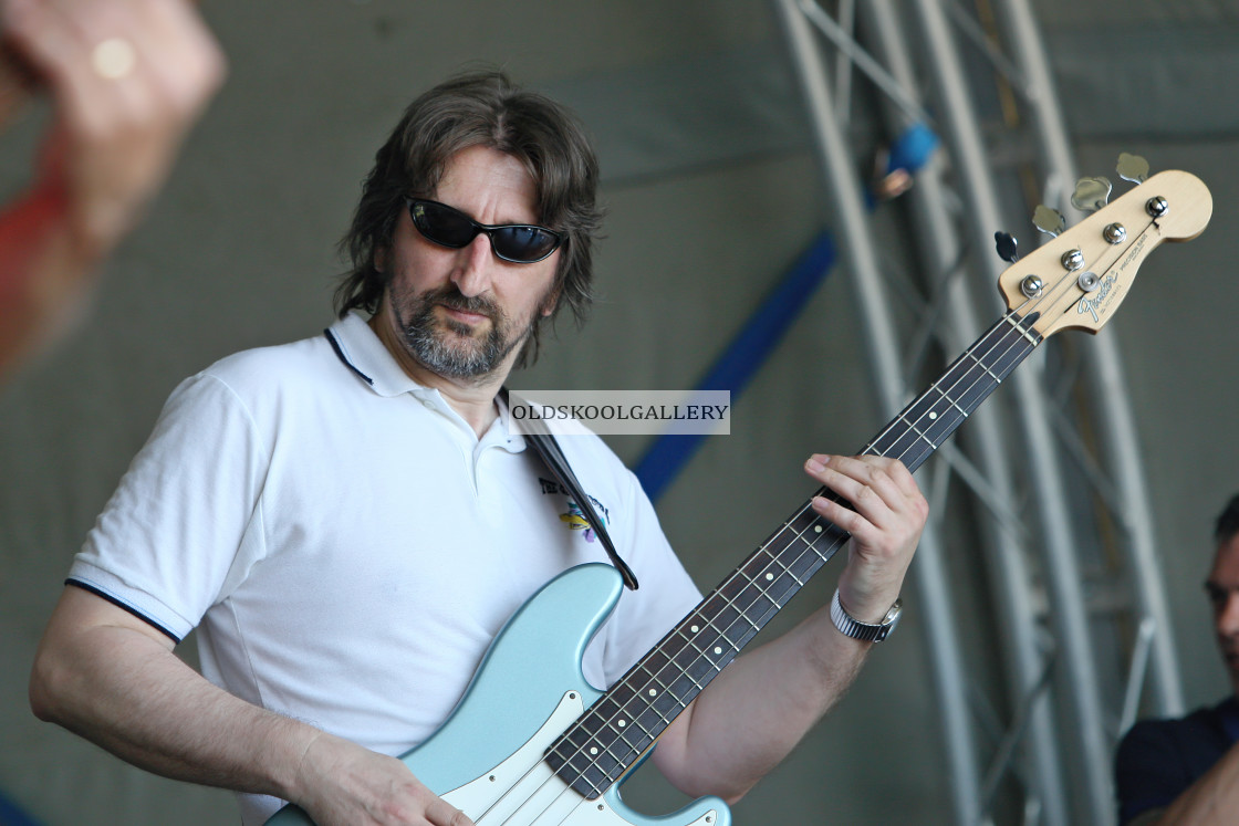 "Willow Festival (2012)" stock image