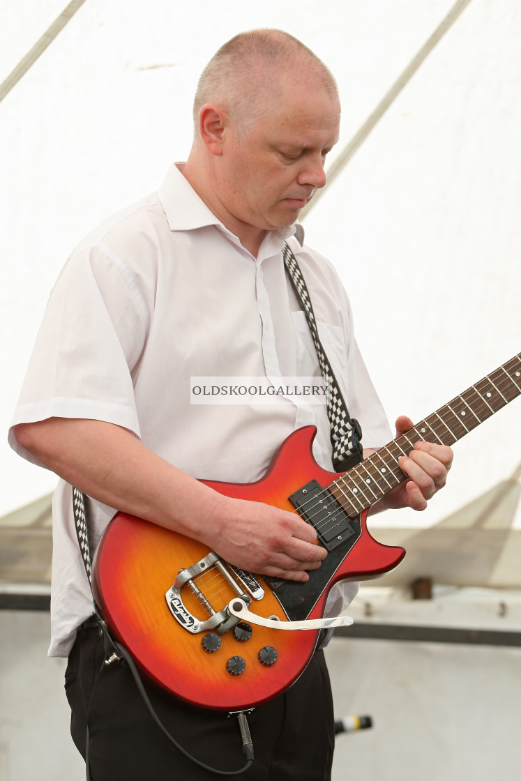 "Willow Festival (2012)" stock image