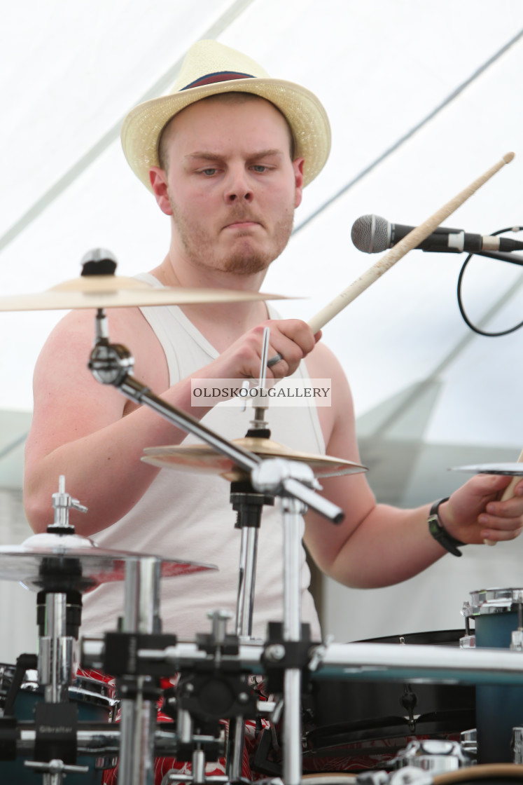 "Willow Festival (2012)" stock image