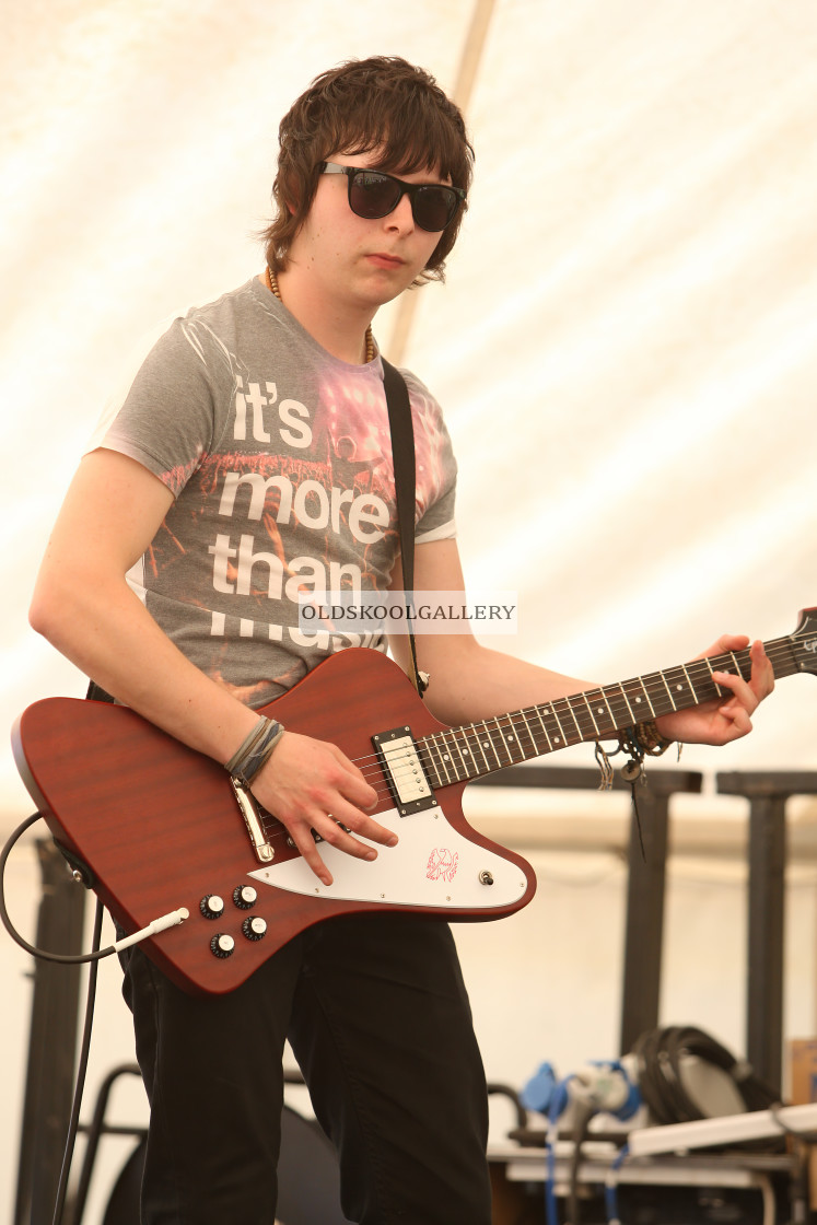 "Willow Festival (2012)" stock image