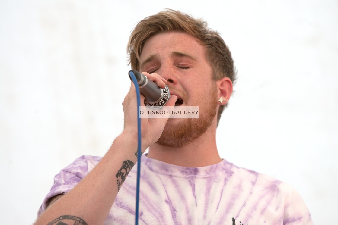 "Willow Festival (2013)" stock image