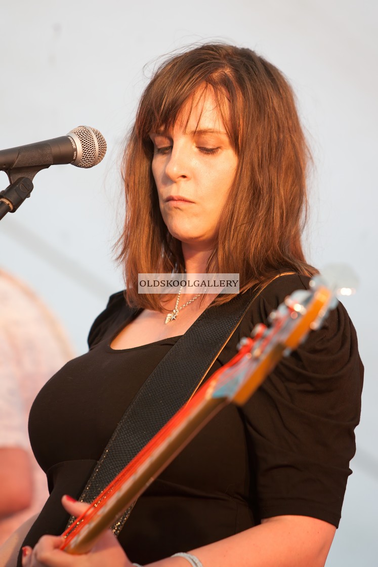 "Willow Festival (2013)" stock image