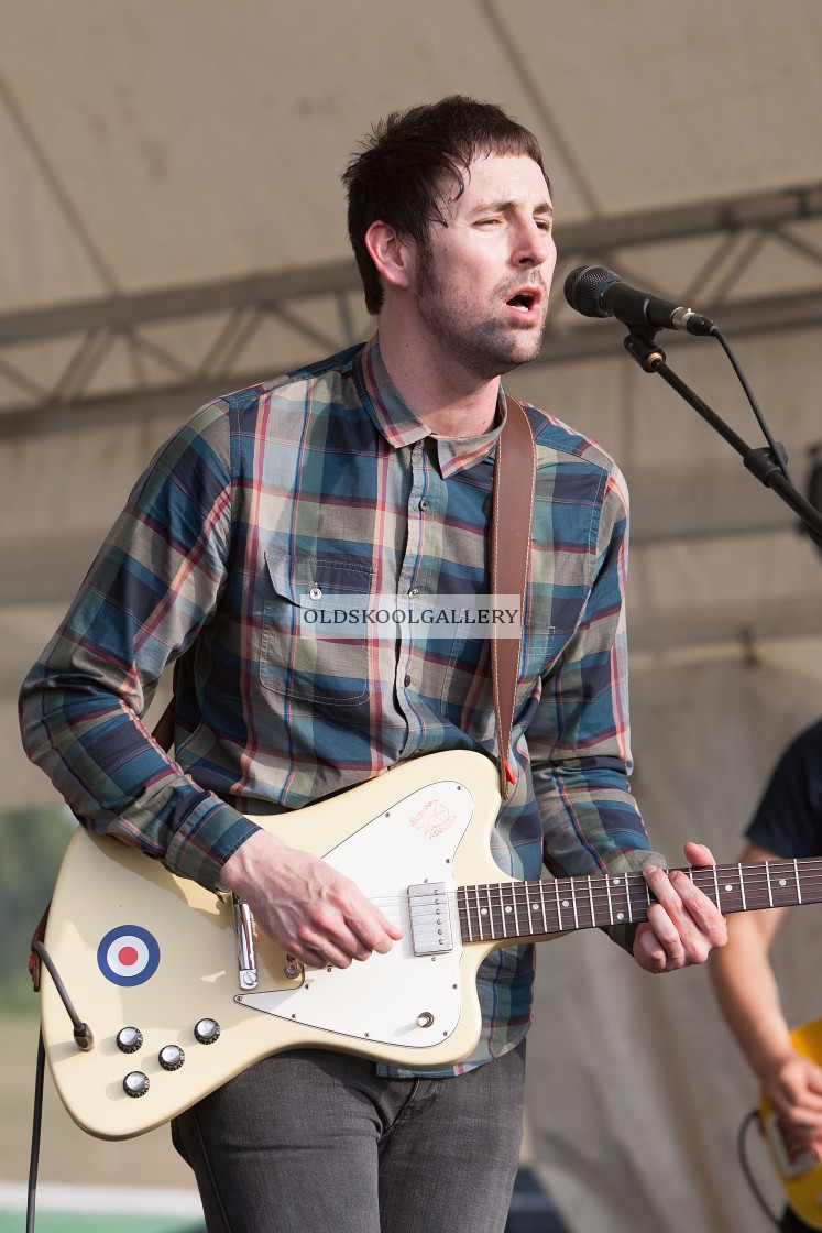 "Willow Festival (2013)" stock image