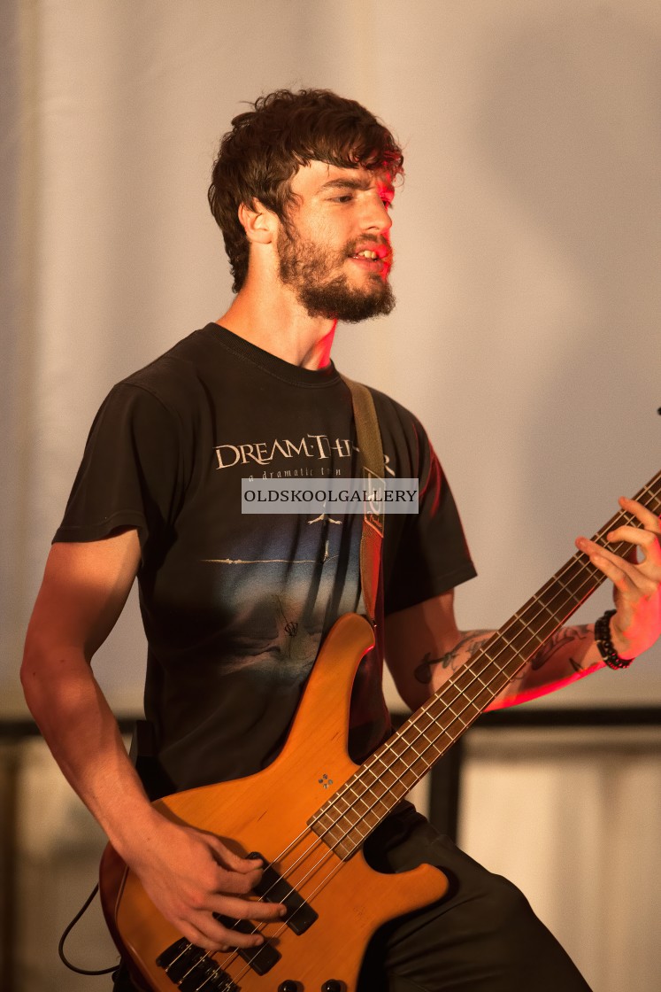 "Willow Festival (2013)" stock image