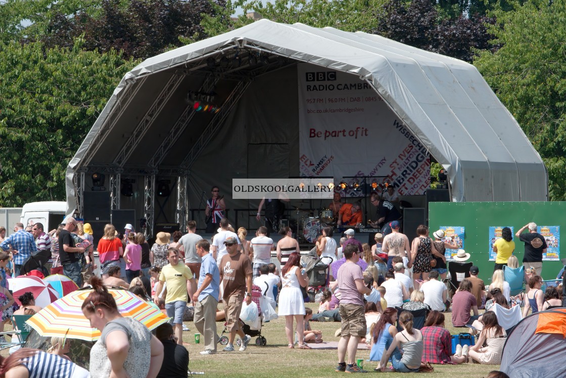 "Willow Festival (2013)" stock image