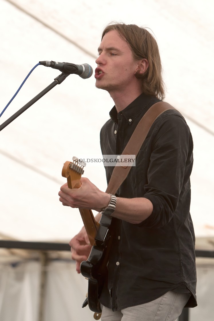 "Willow Festival (2013)" stock image