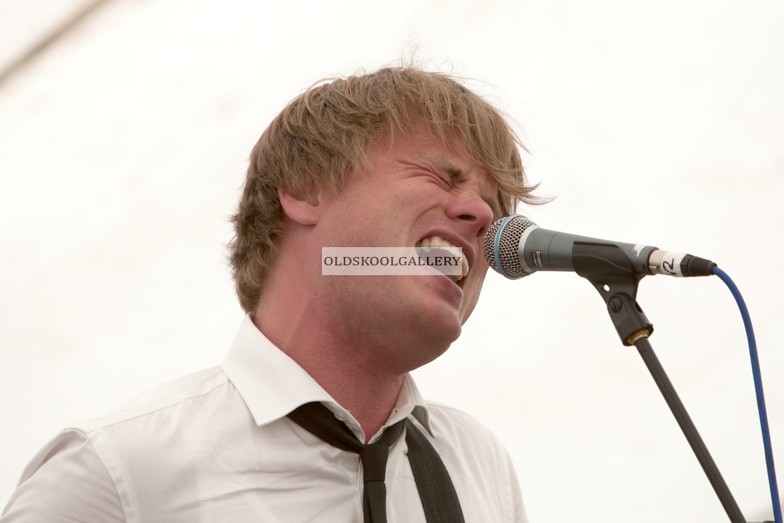 "Willow Festival (2013)" stock image