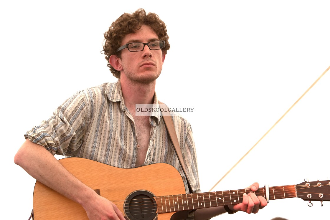 "Willow Festival (2013)" stock image