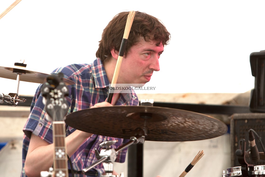 "Willow Festival (2013)" stock image