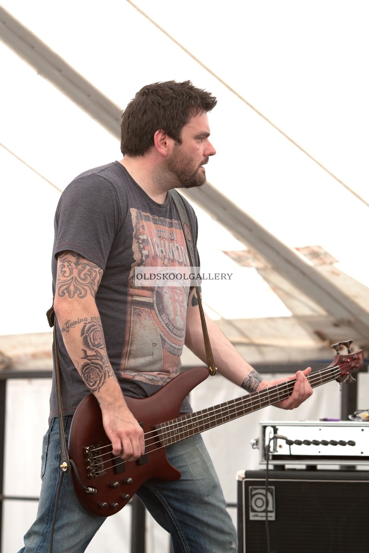 "Willow Festival (2013)" stock image