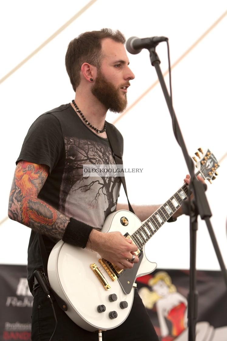 "Willow Festival (2013)" stock image