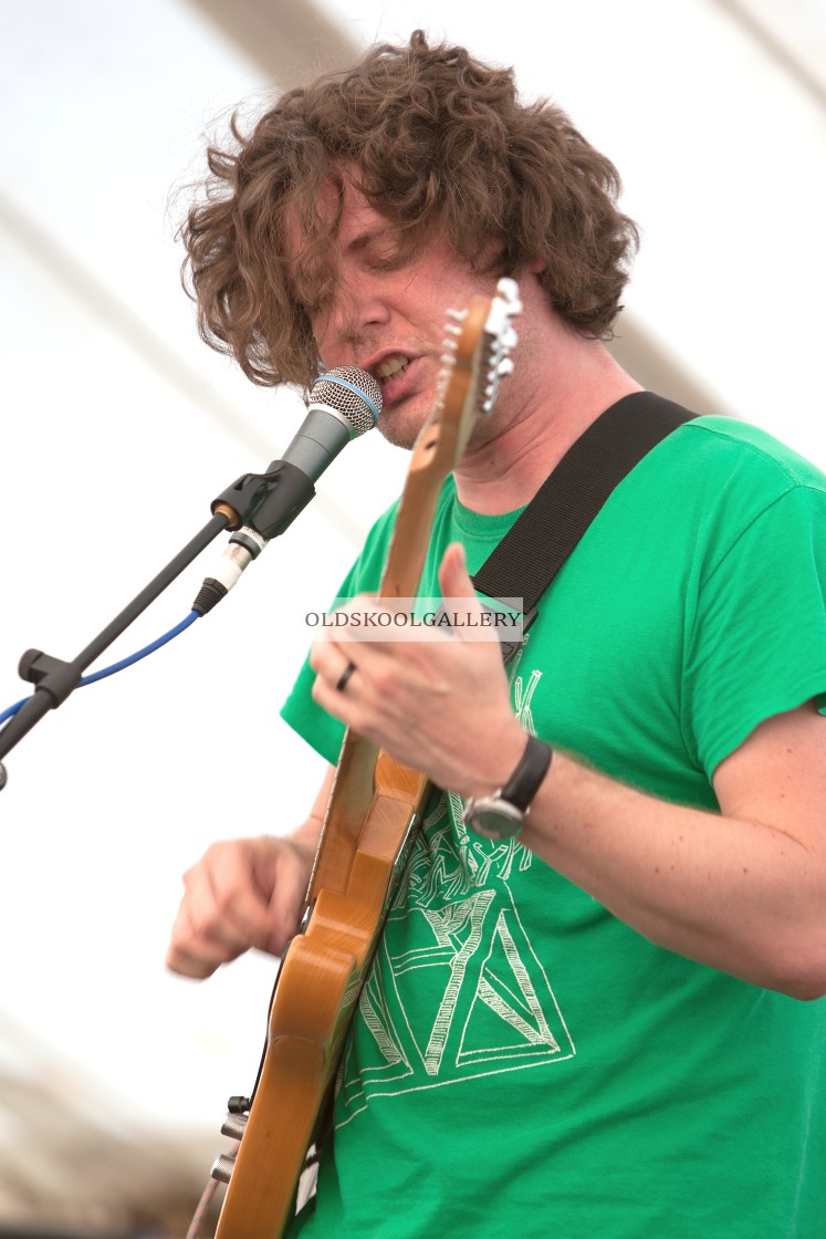 "Willow Festival (2013)" stock image