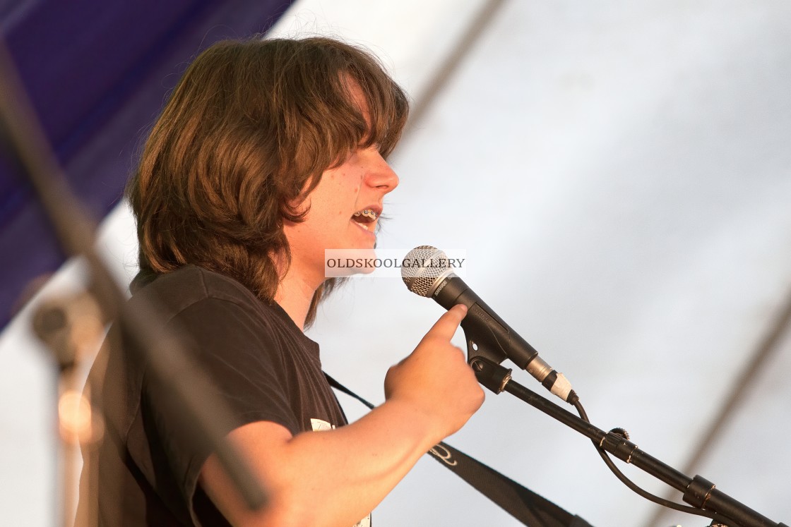 "Willow Festival (2013)" stock image