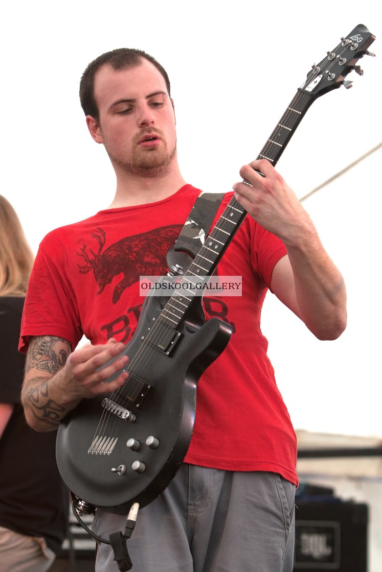 "Willow Festival (2013)" stock image